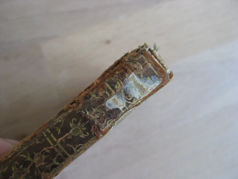 Poésies de Sapho. Suivies de différentes poésies dans le même genre Poésies de Sapho. Suivies de différentes poésies dans le même genre