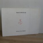 S – clavo - Daniel Dezeuze