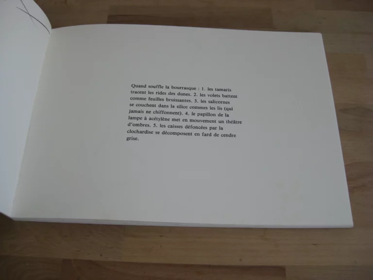 S – clavo - Daniel Dezeuze S – clavo - Daniel Dezeuze