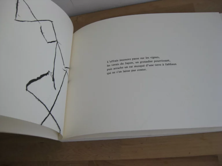 S – clavo - Daniel Dezeuze S – clavo - Daniel Dezeuze