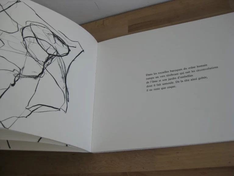 S – clavo - Daniel Dezeuze S – clavo - Daniel Dezeuze