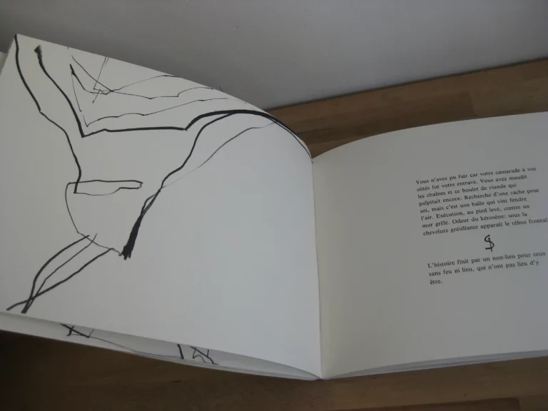 S – clavo - Daniel Dezeuze S – clavo - Daniel Dezeuze