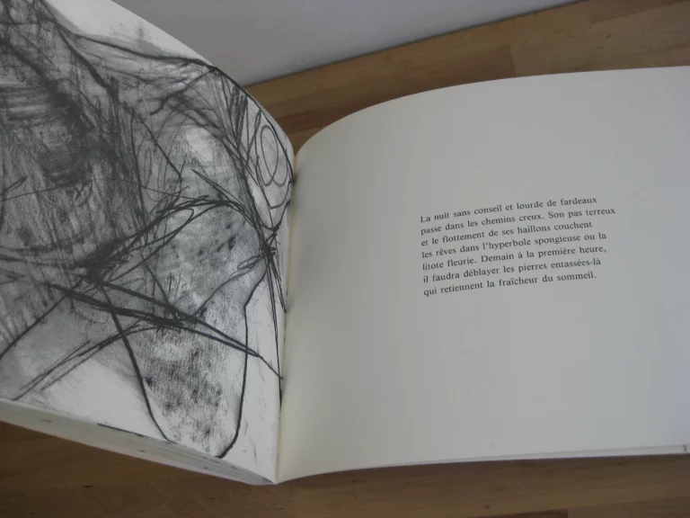 S – clavo - Daniel Dezeuze S – clavo - Daniel Dezeuze