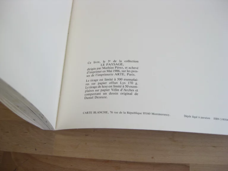 S – clavo - Daniel Dezeuze S – clavo - Daniel Dezeuze