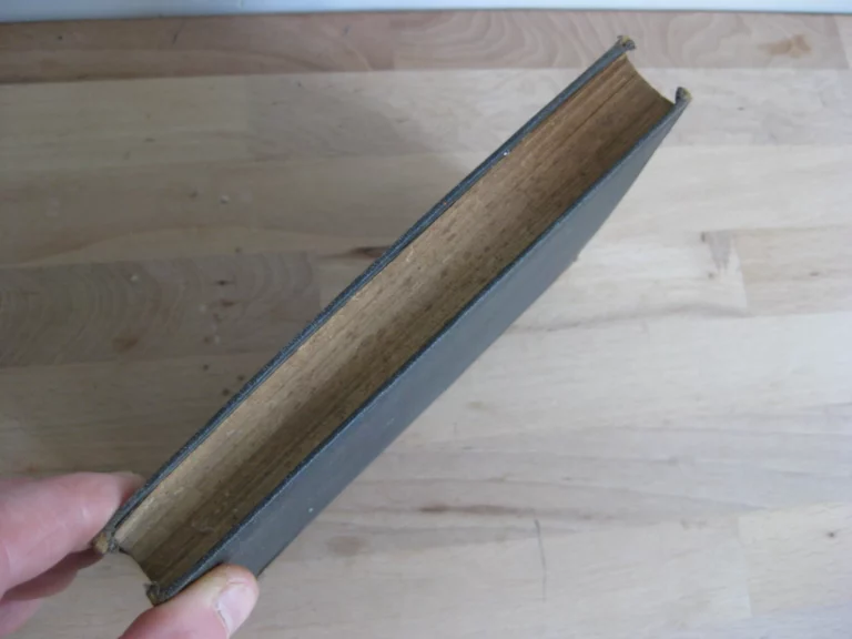 Souvenirs d'un aide-de-camp du roi Jérôme - Baron A. du Casse