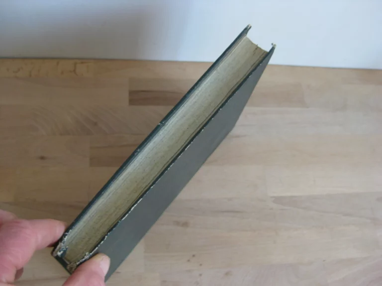 Vita del beato benedetto da urbino - Dal P. Eusebio de Monte Santo