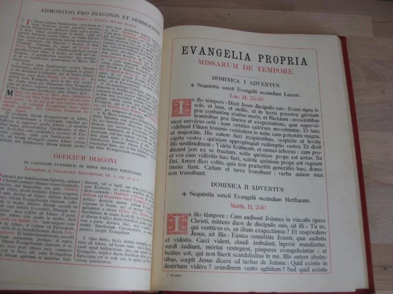 Epistolae et Evangelia Totius Anni. Juxta Typicam editionemMissalis Romani