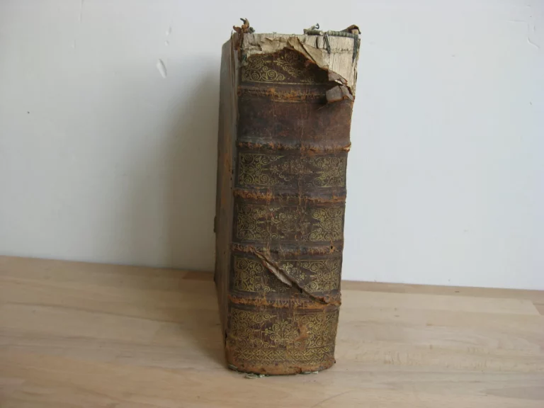 Henr. Zoesii - Commentarius Ad Digestorum Seu Pandectarum Henr. Zoesii - Commentarius Ad Digestorum Seu Pandectarum