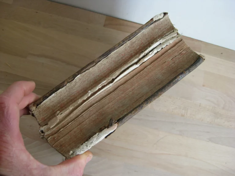 Henr. Zoesii - Commentarius Ad Digestorum Seu Pandectarum Henr. Zoesii - Commentarius Ad Digestorum Seu Pandectarum