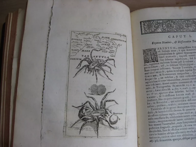 Opera omnia. Medico pratica et anatomica - Georgii Baglavi