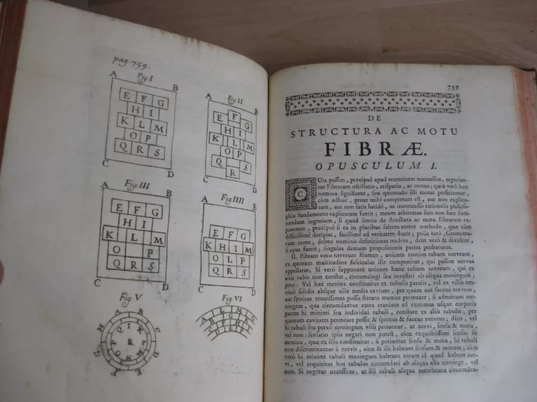 Opera omnia. Medico pratica et anatomica - Georgii Baglavi