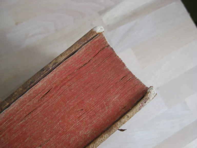 Opera omnia. Medico pratica et anatomica - Georgii Baglavi