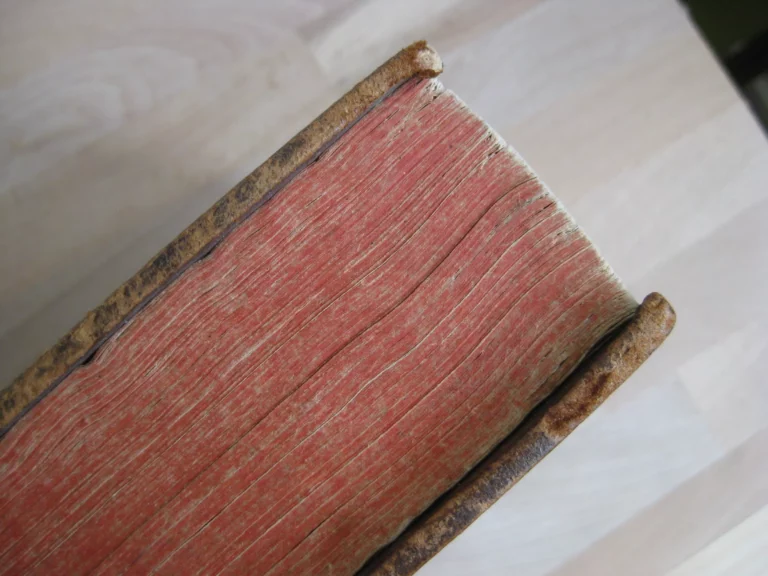 Opera omnia. Medico pratica et anatomica - Georgii Baglavi