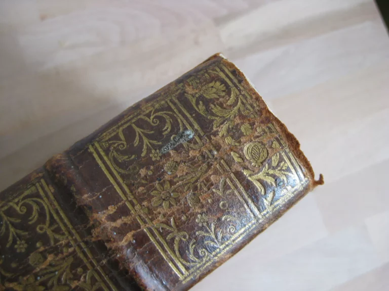 Opera omnia. Medico pratica et anatomica - Georgii Baglavi