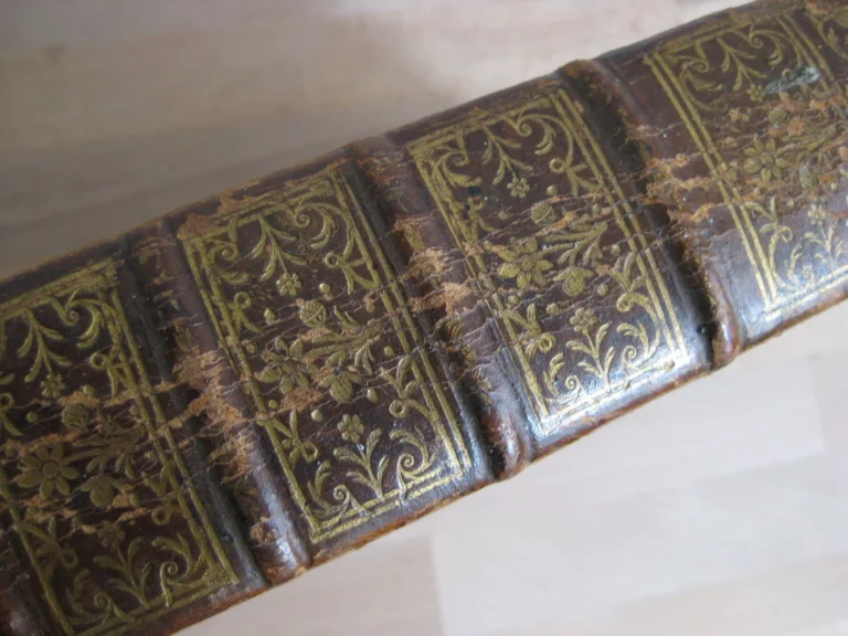 Opera omnia. Medico pratica et anatomica - Georgii Baglavi