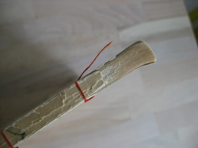 Dodoitzu - Paul Claudel – Rihakou Harada Dodoitzu - Paul Claudel – Rihakou Harada