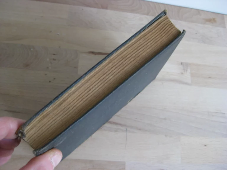 Enlevé ! Mémoire relatant les aventures de David Balfour en l’an 1751 Enlevé ! Mémoire relatant les aventures de David Balfour en l’an 1751