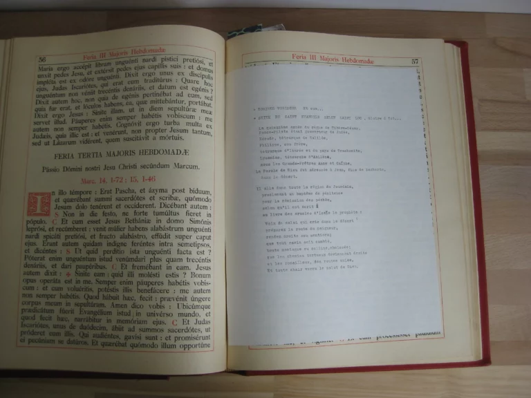 Epistolae et Evangelia Totius Anni. Juxta Typicam editionemMissalis Romani