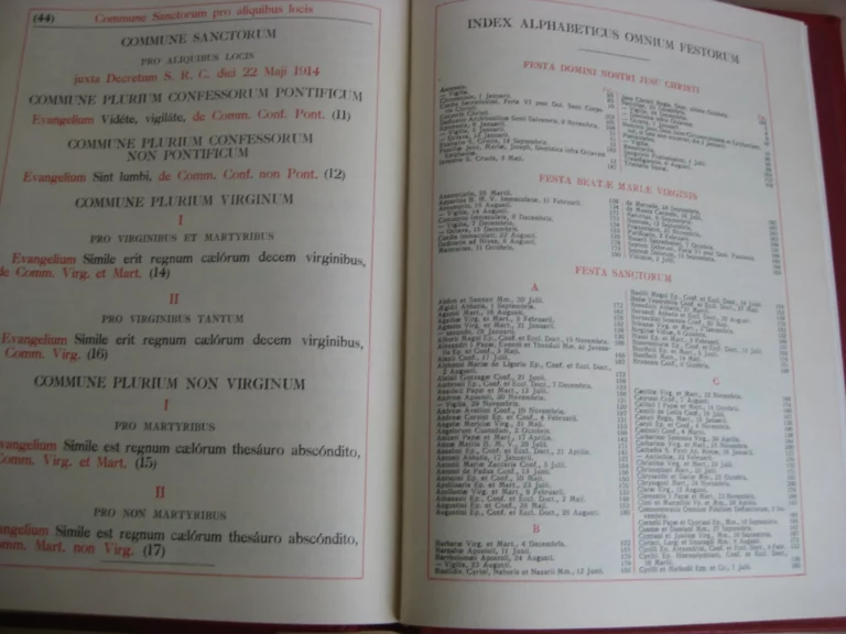 Epistolae et Evangelia Totius Anni. Juxta Typicam editionemMissalis Romani