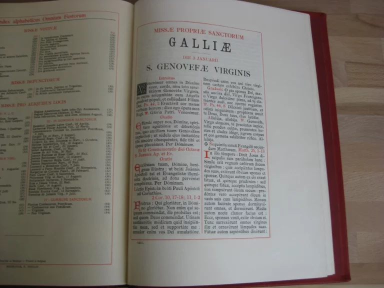 Epistolae et Evangelia Totius Anni. Juxta Typicam editionemMissalis Romani