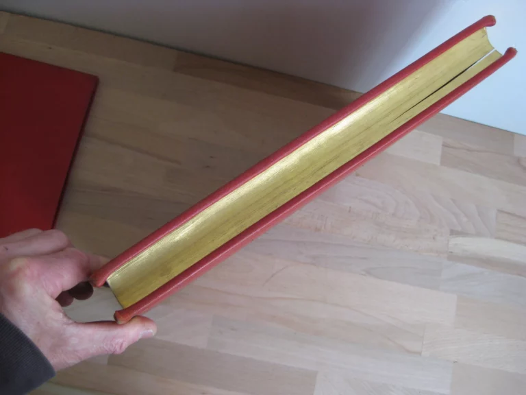 Epistolae et Evangelia Totius Anni. Juxta Typicam editionemMissalis Romani