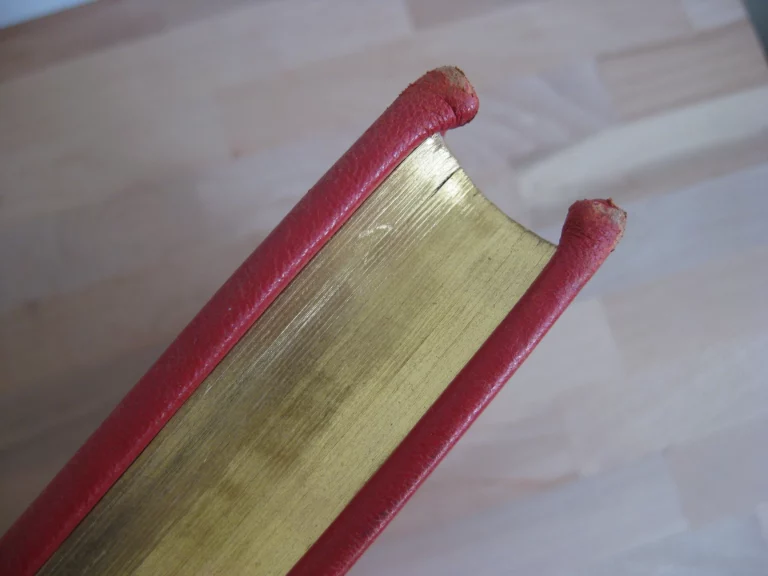 Epistolae et Evangelia Totius Anni. Juxta Typicam editionemMissalis Romani