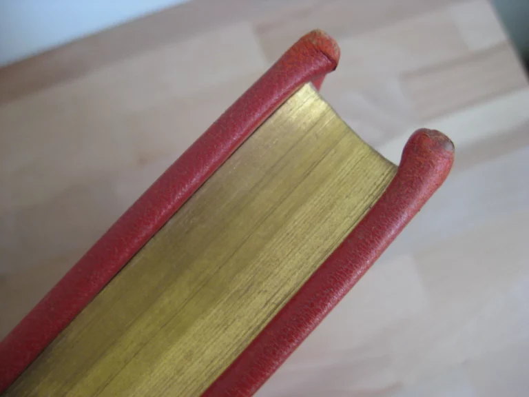 Epistolae et Evangelia Totius Anni. Juxta Typicam editionemMissalis Romani