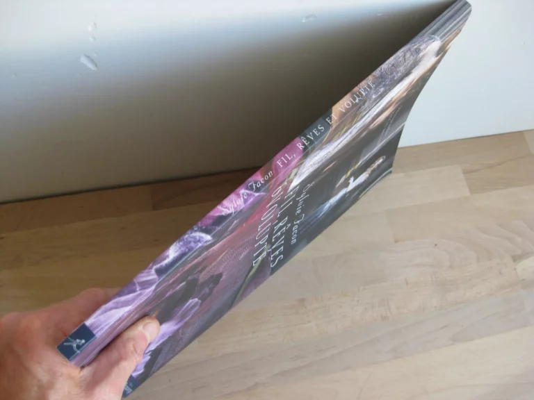 Fil, rêves & volupté - Sylvie Facon