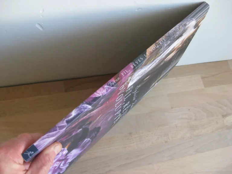 Fil, rêves & volupté - Sylvie Facon