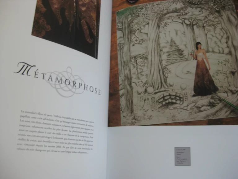 Fil, rêves & volupté - Sylvie Facon