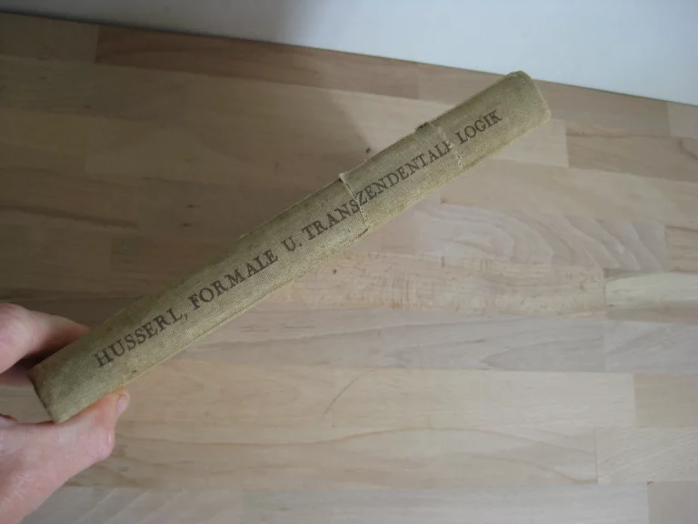 Formale Und Transzendentale Logik - Edmund Husserl Formale Und Transzendentale Logik - Edmund Husserl