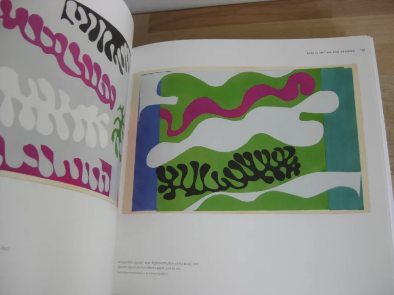 Henry Matisse. Rhythm and Meaning. catalogue, Johannesburg, 2016