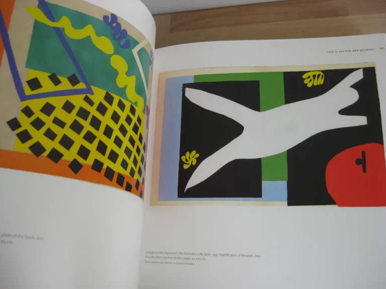 Henry Matisse. Rhythm and Meaning. catalogue, Johannesburg, 2016