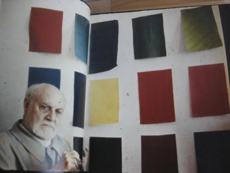 Henry Matisse. Rhythm and Meaning. catalogue, Johannesburg 2016