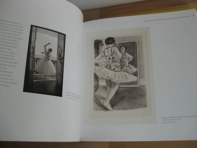 Henry Matisse. Rhythm and Meaning. catalogue, Johannesburg 2016