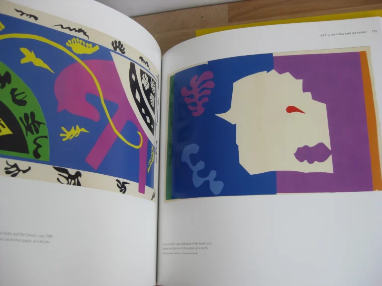 Henry Matisse. Rhythm and Meaning. catalogue, Johannesburg 2016