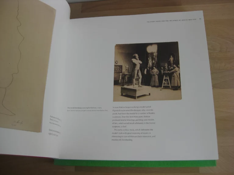 Henry Matisse. Rhythm and Meaning. catalogue, Johannesburg, 2016