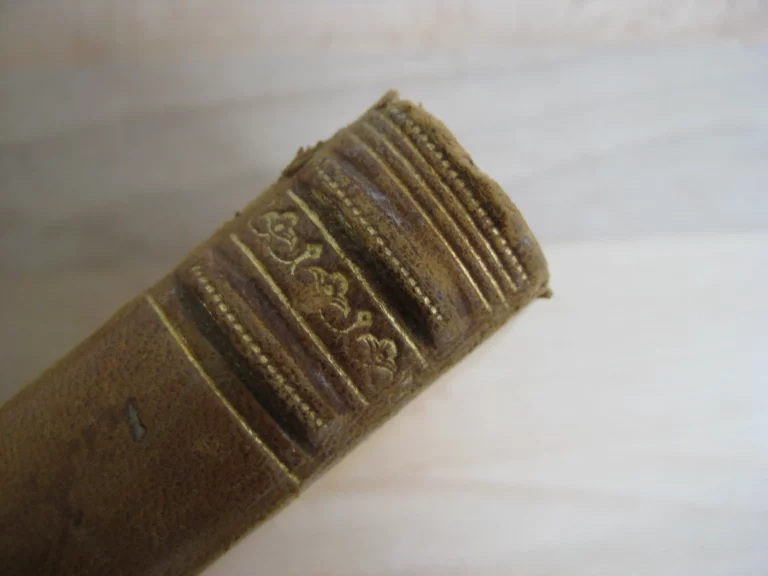 Lêda. Suivi de Byblis, changée en fontaine Lêda. Suivi de Byblis, changée en fontaine