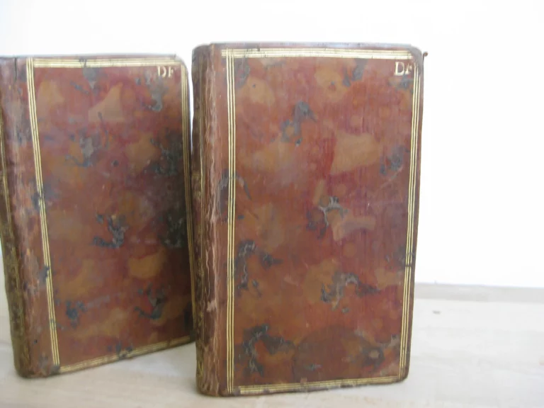 Les confessions, Livres I à VI, 2 volumes - Rousseau Les confessions, Livres I à VI, 2 volumes - Rousseau