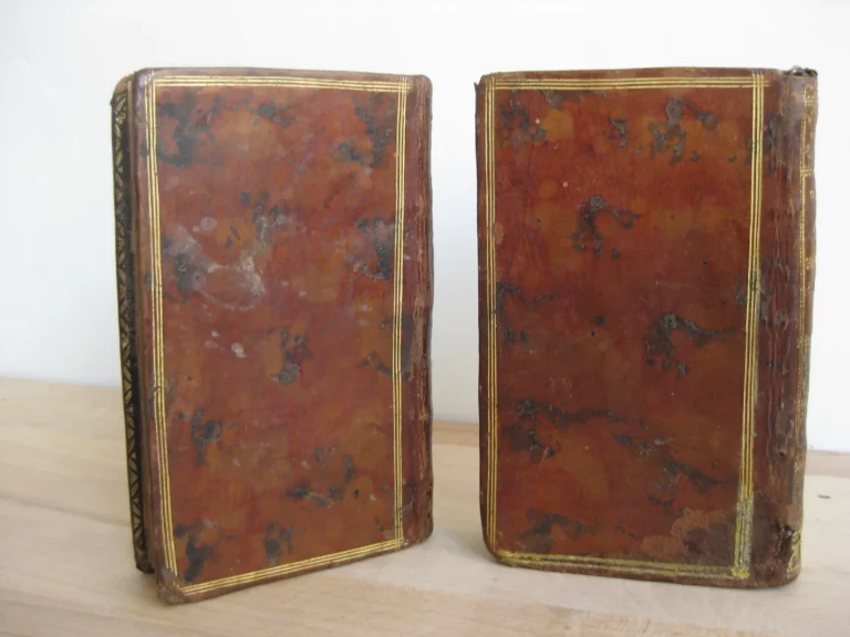 Les confessions, Livres I à VI, 2 volumes - Rousseau Les confessions, Livres I à VI, 2 volumes - Rousseau