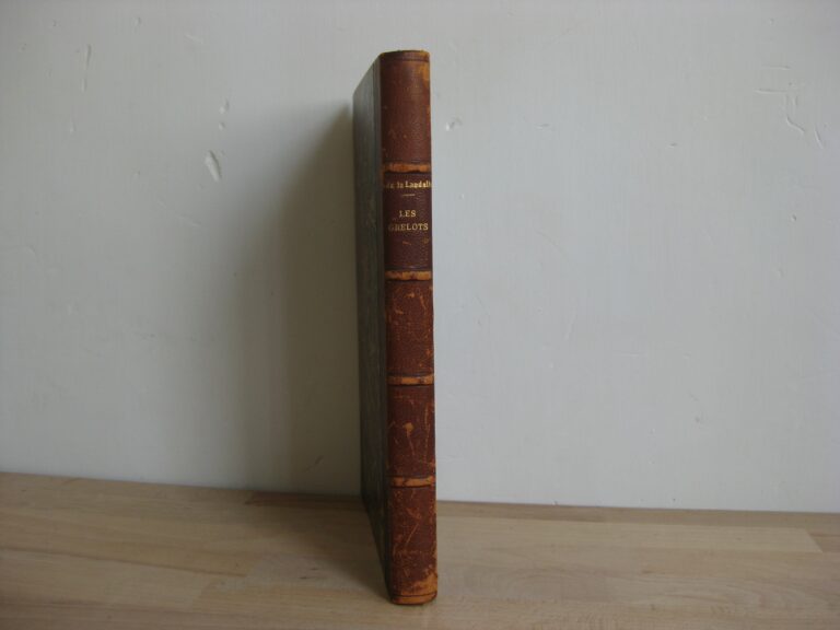 Les grelots, contes fantastiques, . Nouvelles, bluettes, fantaisies