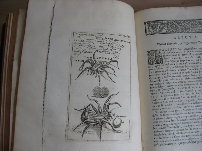 Opera omnia. Medico pratica et anatomica - Georgii Baglavi Opera omnia. Medico pratica et anatomica - Georgii Baglavi