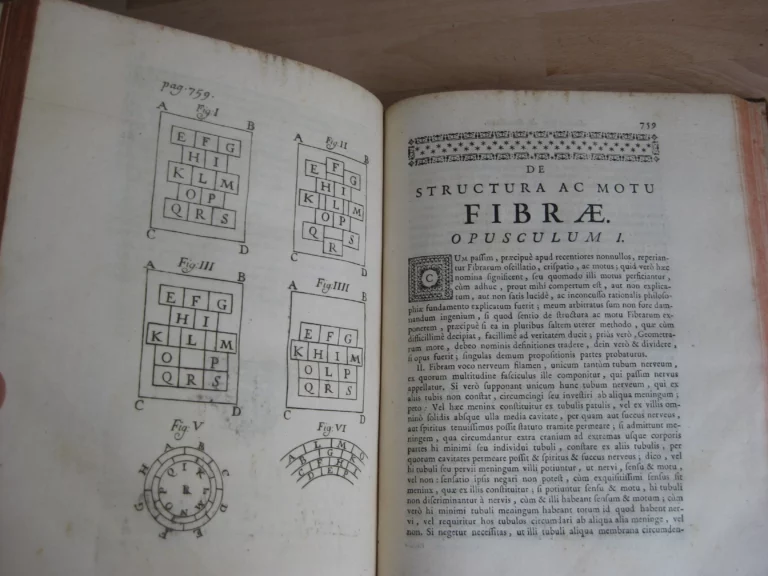 Opera omnia. Medico pratica et anatomica - Georgii Baglavi Opera omnia. Medico pratica et anatomica - Georgii Baglavi