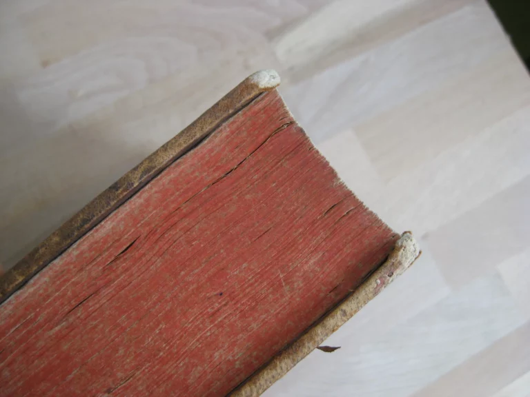 Opera omnia. Medico pratica et anatomica - Georgii Baglavi Opera omnia. Medico pratica et anatomica - Georgii Baglavi