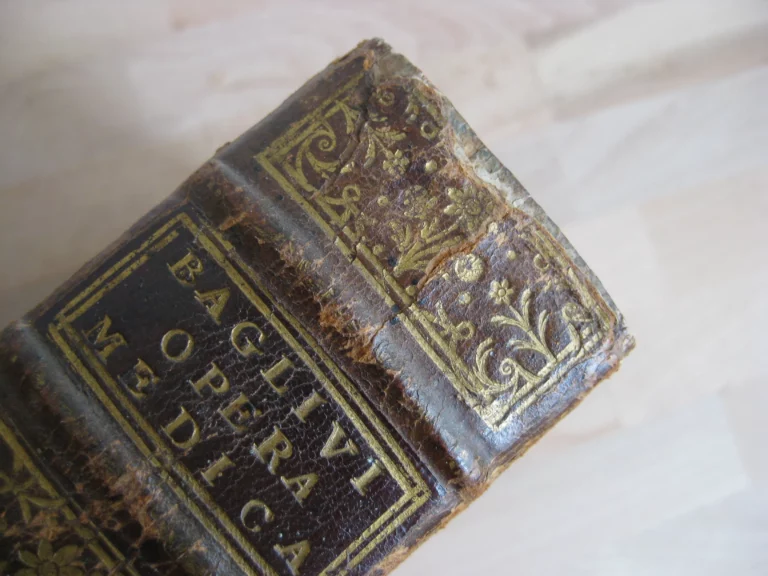 Opera omnia. Medico pratica et anatomica - Georgii Baglavi Opera omnia. Medico pratica et anatomica - Georgii Baglavi