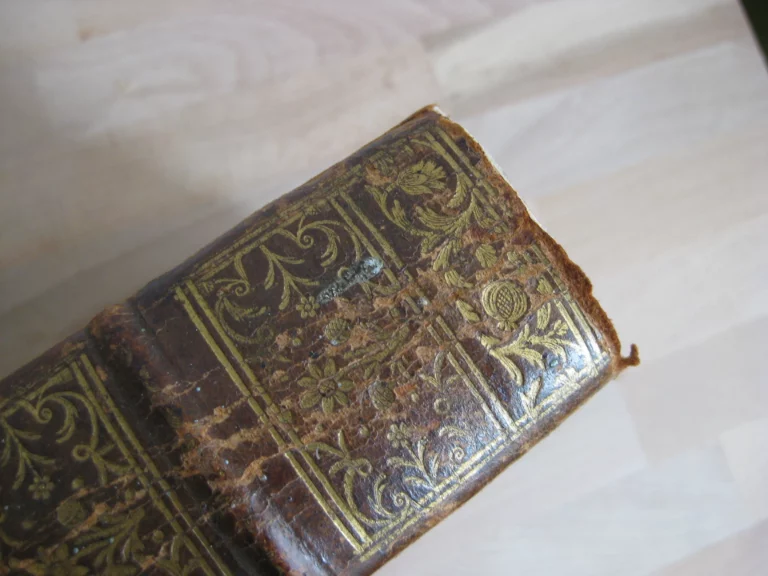 Opera omnia. Medico pratica et anatomica - Georgii Baglavi Opera omnia. Medico pratica et anatomica - Georgii Baglavi