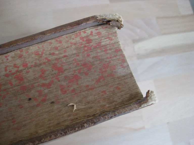 Septem tvbae sacerdotales... tvba octava, Cum Notis Stephani Baluzij Septem tvbae sacerdotales... tvba octava, Cum Notis Stephani Baluzij