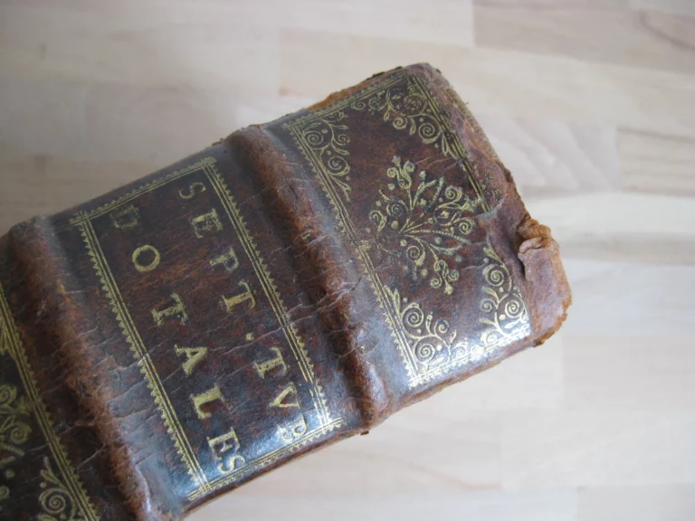 Septem tvbae sacerdotales... tvba octava, Cum Notis Stephani Baluzij Septem tvbae sacerdotales... tvba octava, Cum Notis Stephani Baluzij