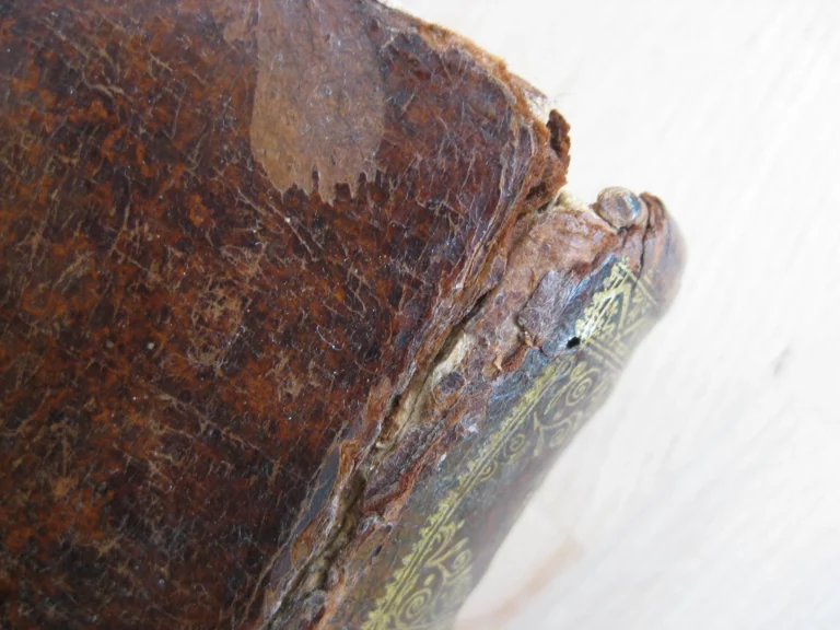 Septem tvbae sacerdotales... tvba octava, Cum Notis Stephani Baluzij Septem tvbae sacerdotales... tvba octava, Cum Notis Stephani Baluzij