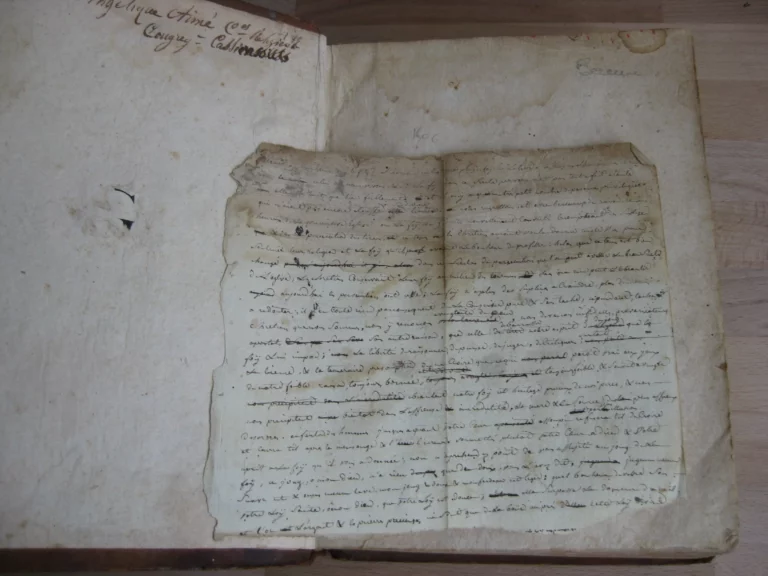 Septem tvbae sacerdotales... tvba octava, Cum Notis Stephani Baluzij Septem tvbae sacerdotales... tvba octava, Cum Notis Stephani Baluzij